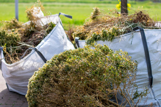 Best Junk Removal and Recycling  in Tonka Bay, MN
